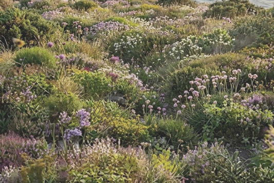 The Intelligence of Scent